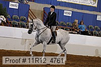 11r12_4761 thumbnail