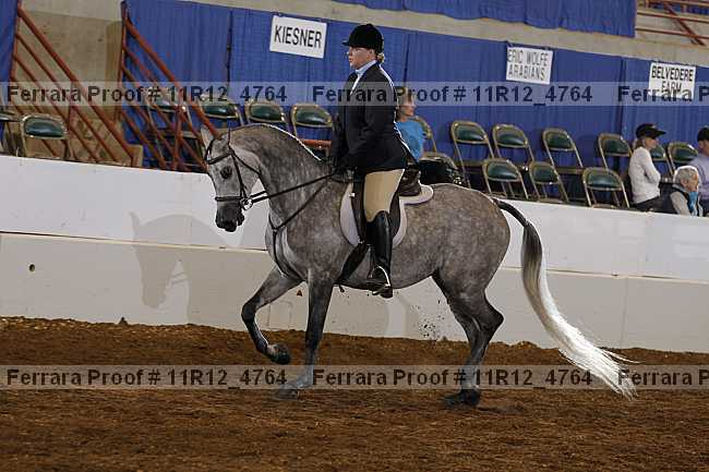 Proof Number 11r12_4764