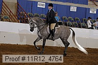 11r12_4764 thumbnail