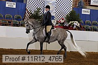11r12_4765 thumbnail