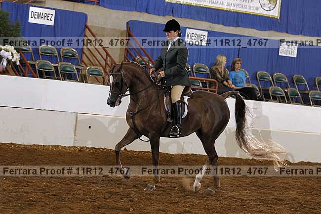 Proof Number 11r12_4767