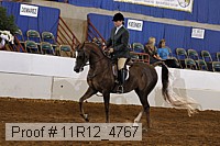11r12_4767 thumbnail