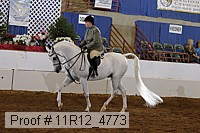 11r12_4773 thumbnail