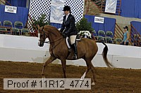 11r12_4774 thumbnail