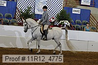 11r12_4775 thumbnail