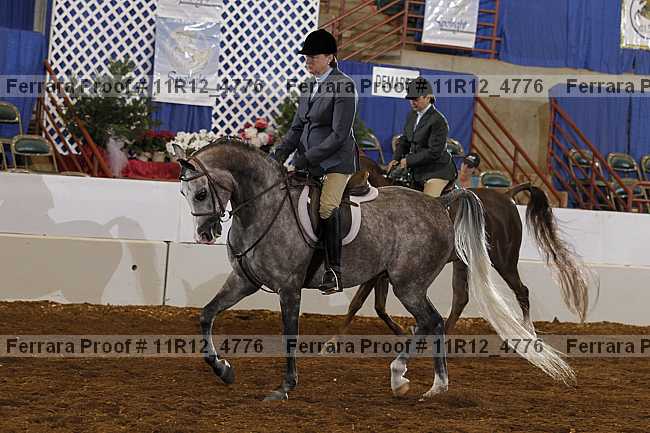 Proof Number 11r12_4776