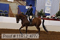 11r12_4777 thumbnail