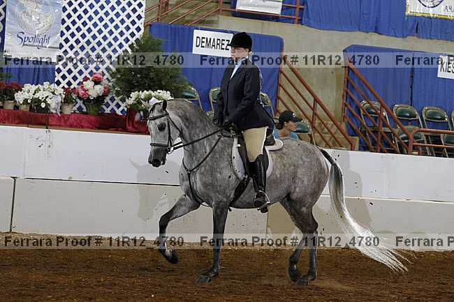 Proof Number 11r12_4780