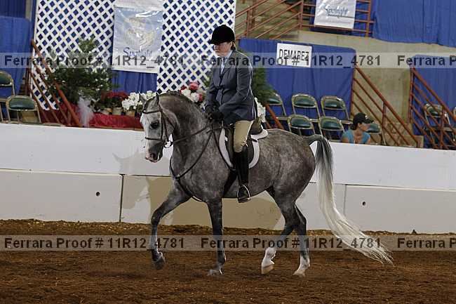 Proof Number 11r12_4781