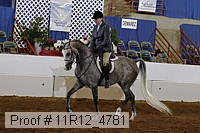 11r12_4781 thumbnail