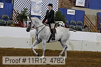 11r12_4782 thumbnail