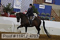 11r12_4783 thumbnail