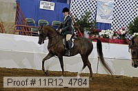 11r12_4784 thumbnail