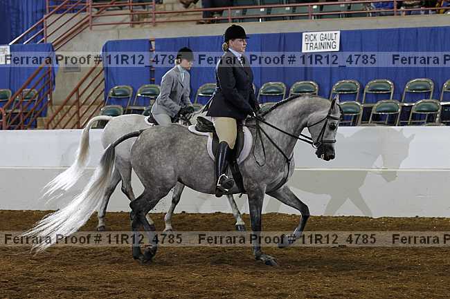 Proof Number 11r12_4785