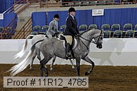 11r12_4785 thumbnail