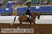 11r12_4786 thumbnail
