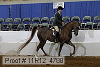 11r12_4788 thumbnail