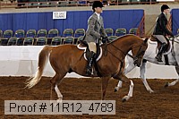 11r12_4789 thumbnail