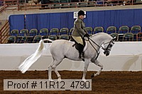 11r12_4790 thumbnail