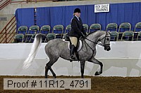 11r12_4791 thumbnail