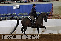 11r12_4792 thumbnail