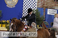 11r12_4795 thumbnail