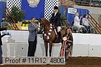 11r12_4800 thumbnail