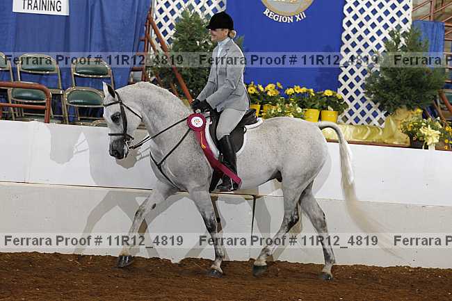 Proof Number 11r12_4819