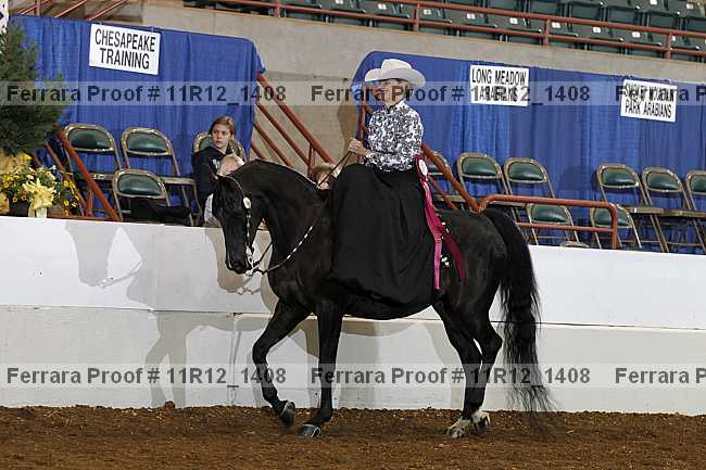 Proof Number 11r12_1408