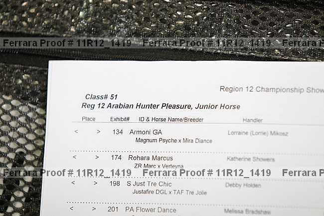 Proof Number 11r12_1419