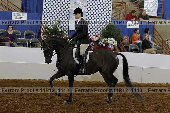 Proof Number 11r12_1443