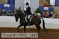 11r12_1443 thumbnail