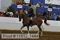 11r12_1444 thumbnail
