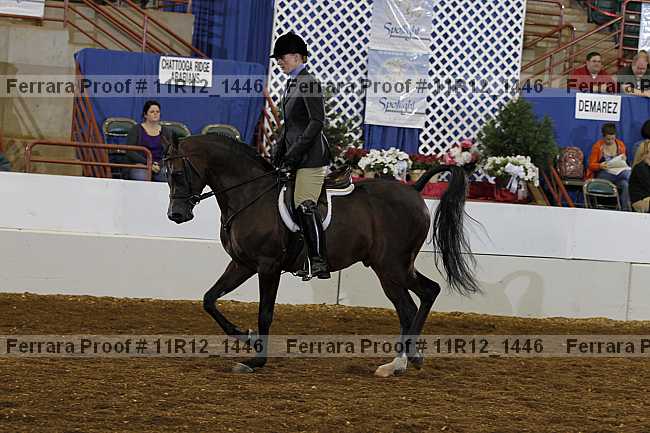 Proof Number 11r12_1446