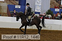 11r12_1446 thumbnail