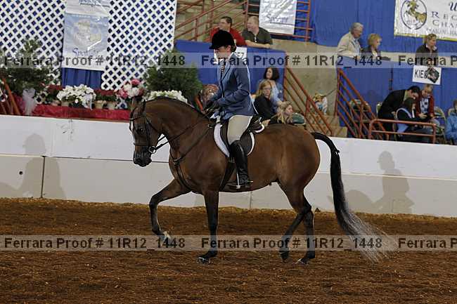 Proof Number 11r12_1448