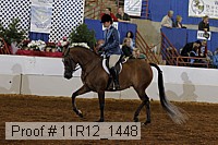 11r12_1448 thumbnail