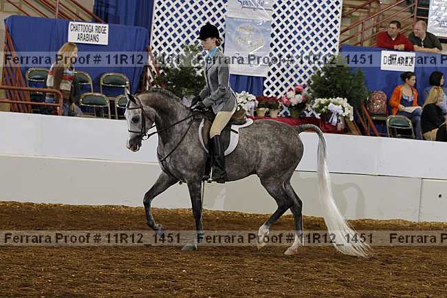 Proof Number 11r12_1451