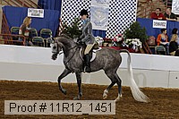11r12_1451 thumbnail