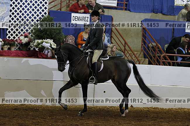 Proof Number 11r12_1453