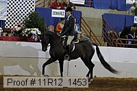 11r12_1453 thumbnail