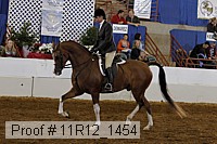 11r12_1454 thumbnail