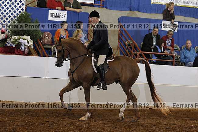 Proof Number 11r12_1455