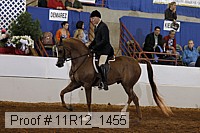 11r12_1455 thumbnail