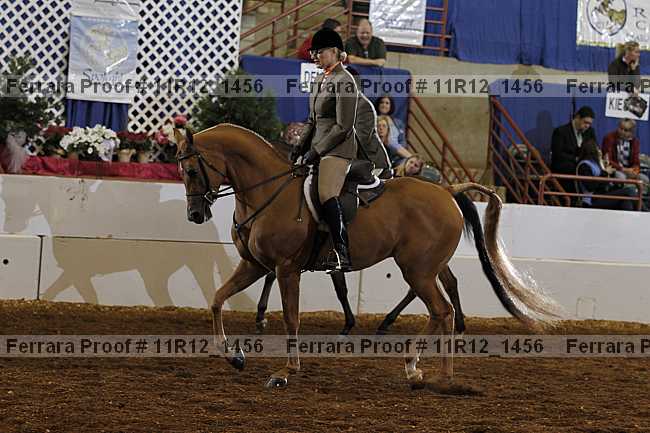 Proof Number 11r12_1456