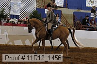 11r12_1456 thumbnail