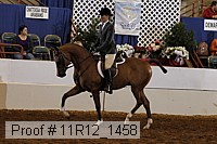 11r12_1458 thumbnail