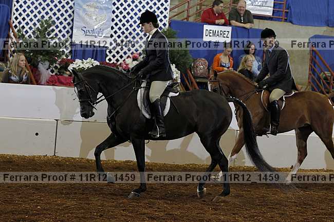 Proof Number 11r12_1459