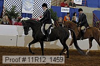 11r12_1459 thumbnail