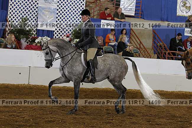 Proof Number 11r12_1460